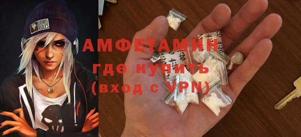 молекула духа Вяземский