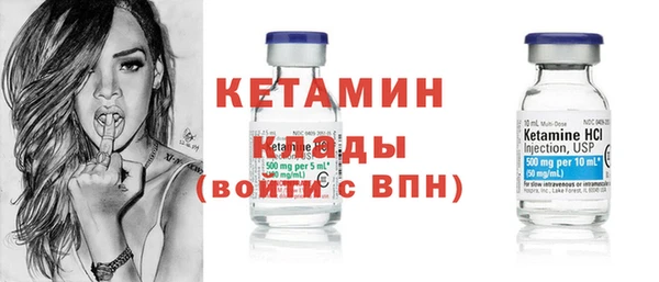 молекула духа Вяземский