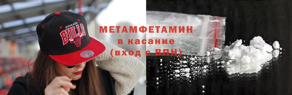 молекула духа Вяземский