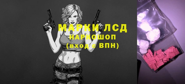 индика Вязники