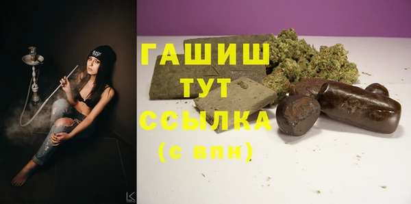 молекула духа Вяземский