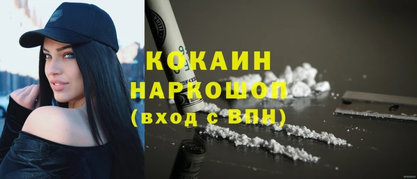 индика Вязники
