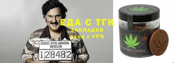 молекула духа Вяземский