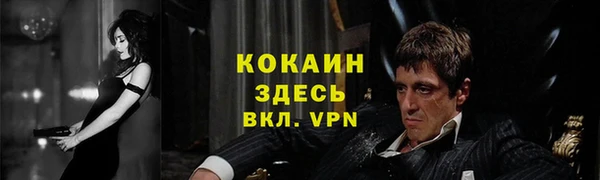 Альфа ПВП Горняк