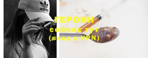 молекула духа Вяземский