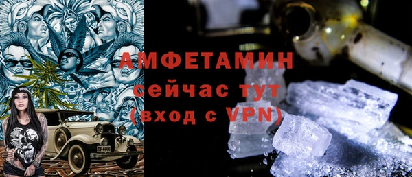 молекула духа Вяземский