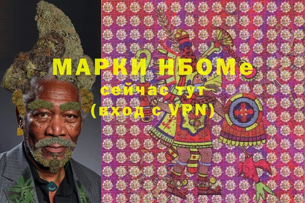 индика Вязники