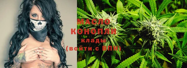 молекула духа Вяземский