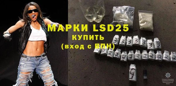 молекула духа Вяземский