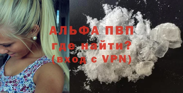 индика Вязники