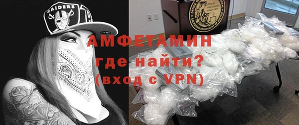 молекула духа Вяземский
