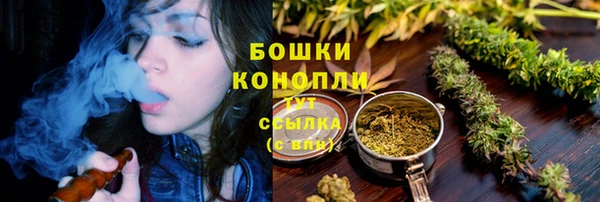 молекула духа Вяземский