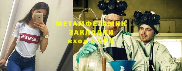 молекула духа Вяземский