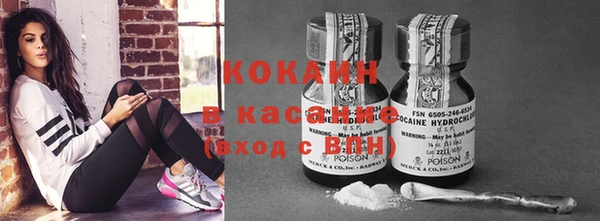 индика Вязники