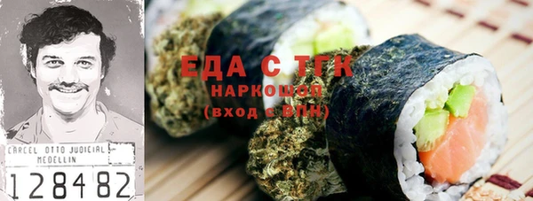 молекула духа Вяземский