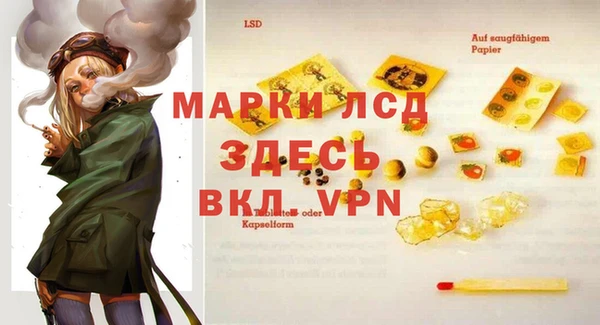 индика Вязники