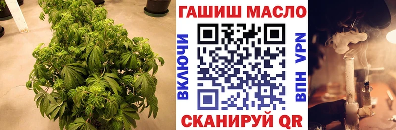 Дистиллят ТГК гашишное масло  Купить закладки  Лесосибирск 