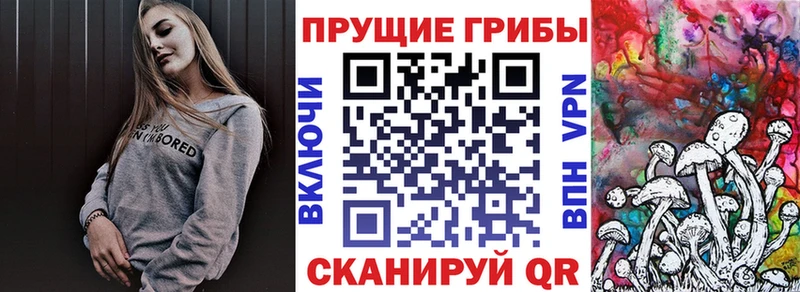 Купить  Лесосибирск  Псилоцибиновые грибы мухоморы 